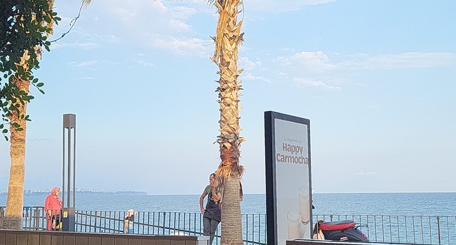 I am selling my own apartment in Antalya, Turkey